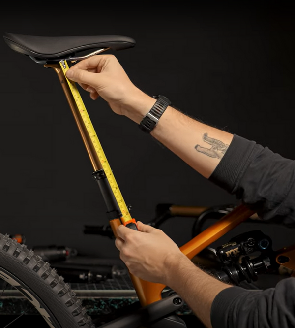 FOX Transfer Factory