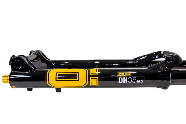 AM DH38 m.2 Air TTX18 29''/27.5''/200