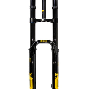 AM DH38 m.2 Air TTX18 29''/27.5''/200