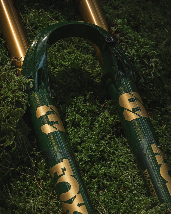 Fox 38 limited edition