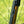 2026 Fox Podium inverted fork