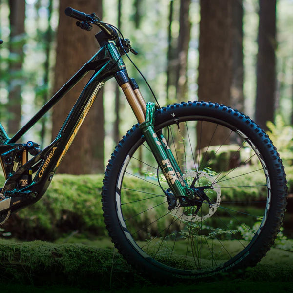 Fox 38 limited edition