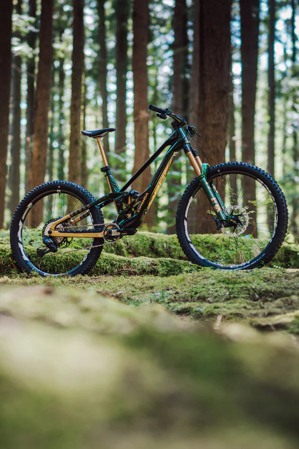 Fox 38 limited edition
