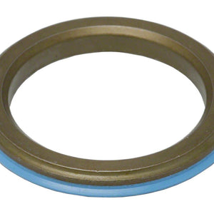 Cane Creek crown race