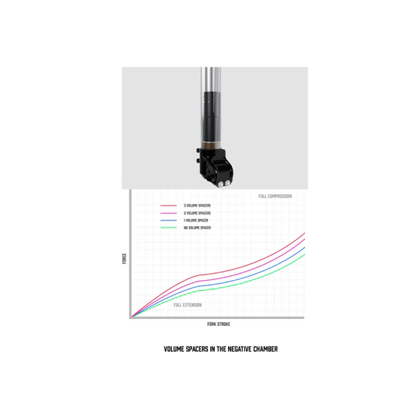 EXT Vaia DH/Enduro Fork