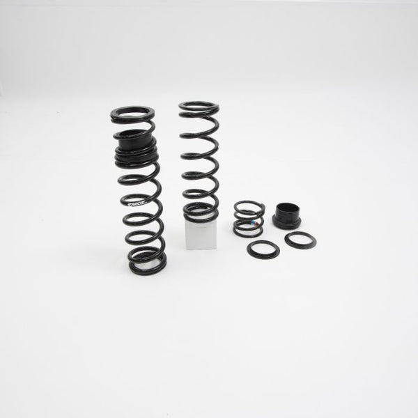 ZBROZ Polaris RMK Walker Evans Velocity Ski Shock Spring Kit (2019-2024)