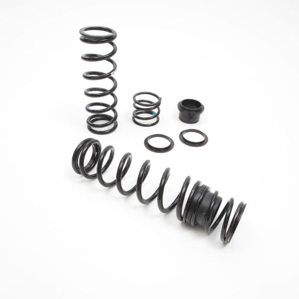 ZBROZ Polaris RMK Walker Evans Velocity Ski Shock Spring Kit (2019-2024)